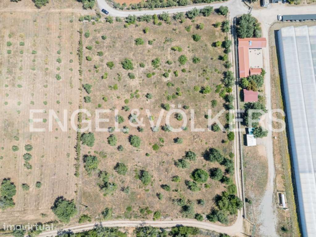 Terreno Rústico com Potencial Agrícola - Grande imagem: 2/21