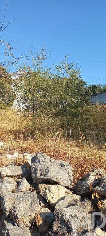 Casa / Villa T2 em São Brás de Alportel de 216 m2 - Grande imagem: 4/9