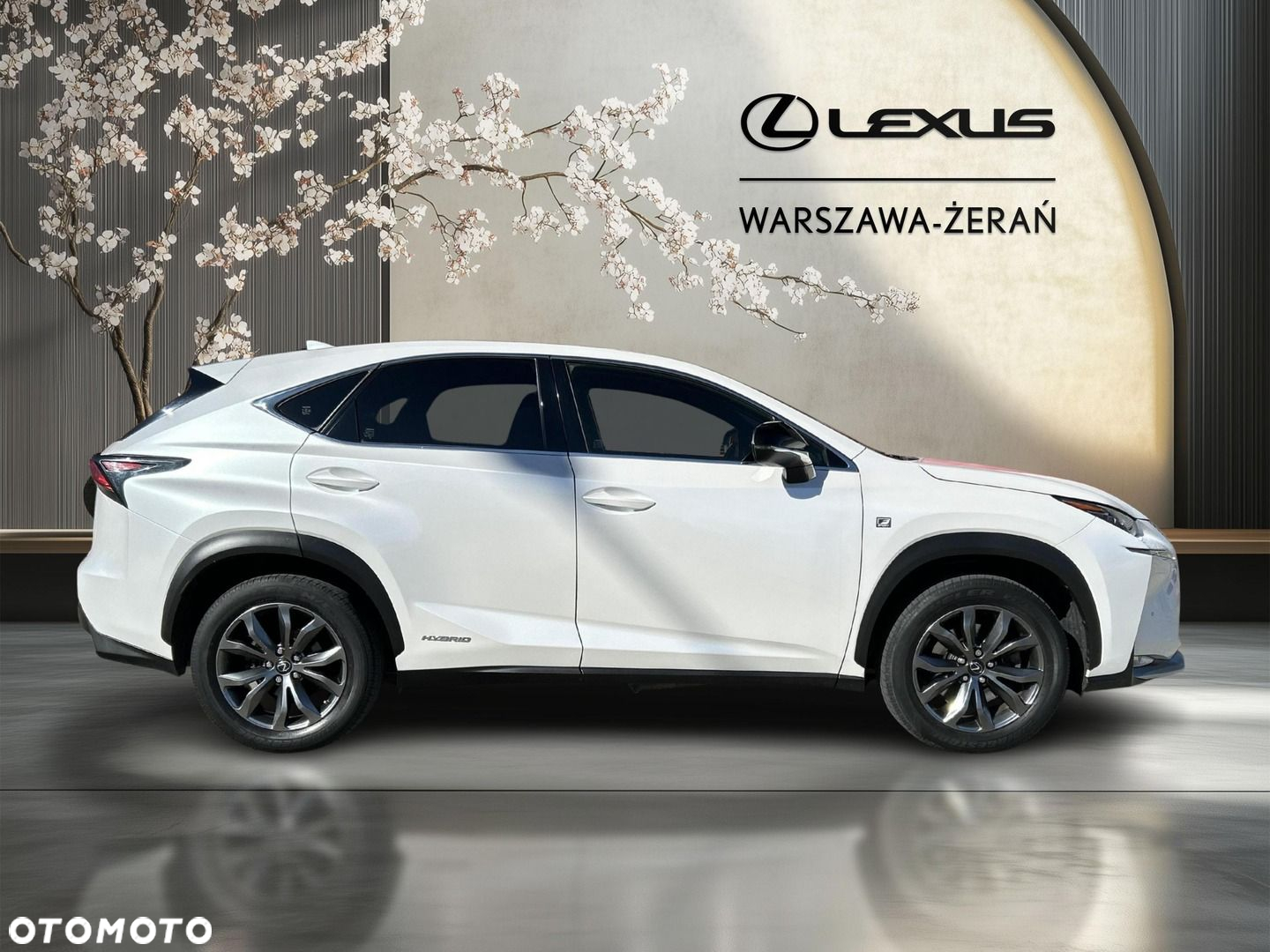 Lexus NX 300h F Sport AWD - 8