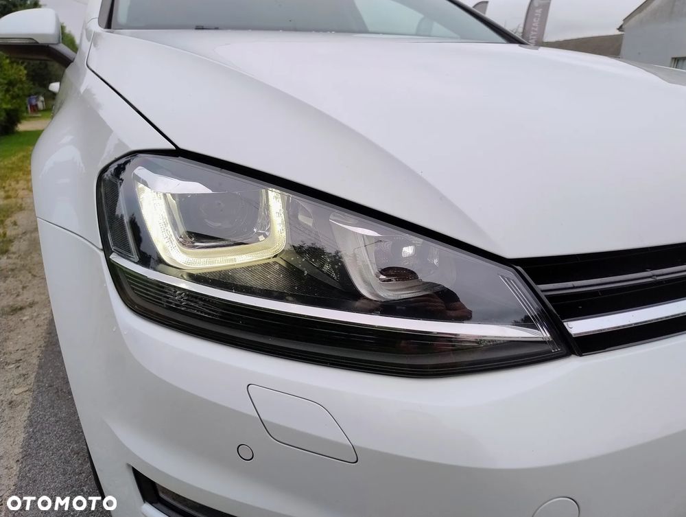 Volkswagen Golf - 28