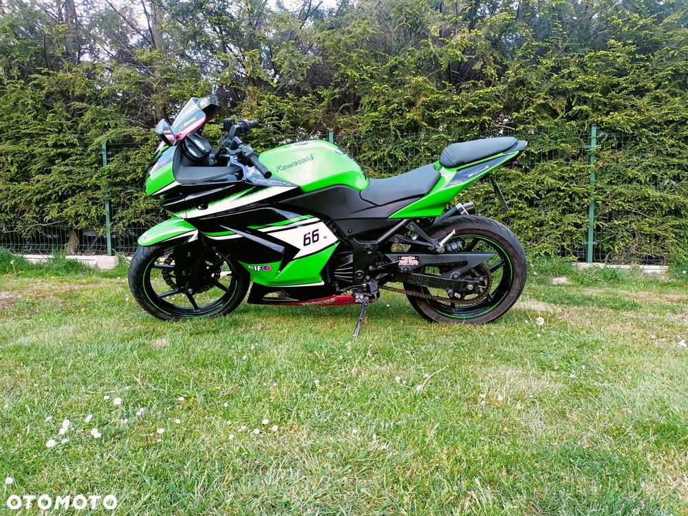 Kawasaki Ninja 250R - 1