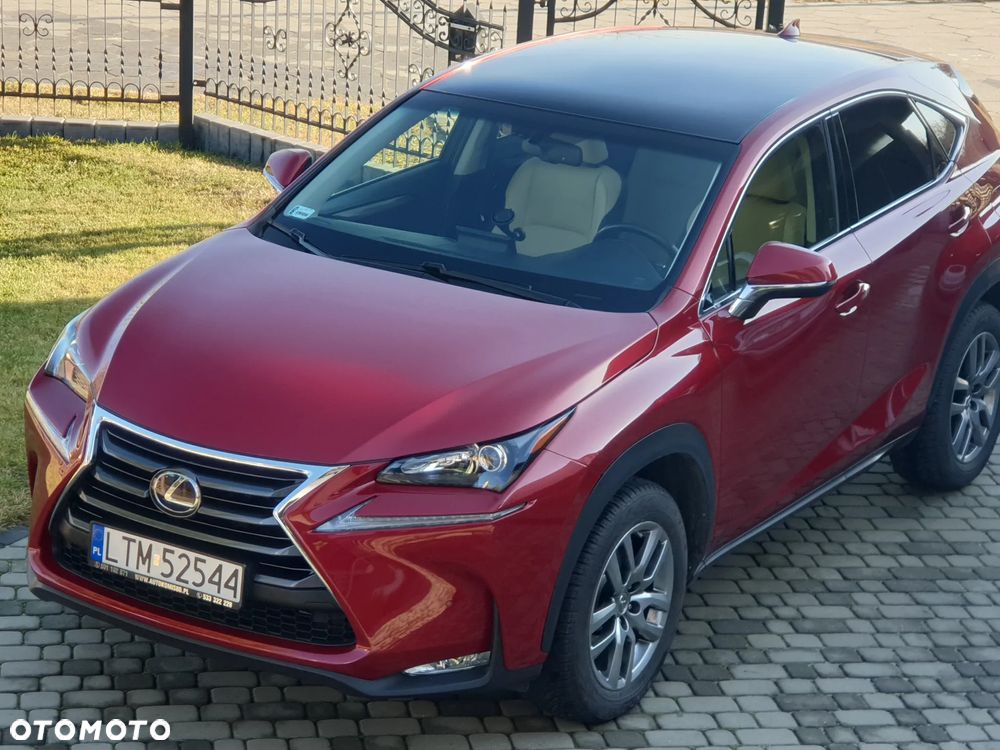 Lexus NX - 24