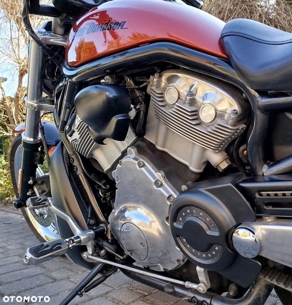 Harley-Davidson Softail V-Rod - 10