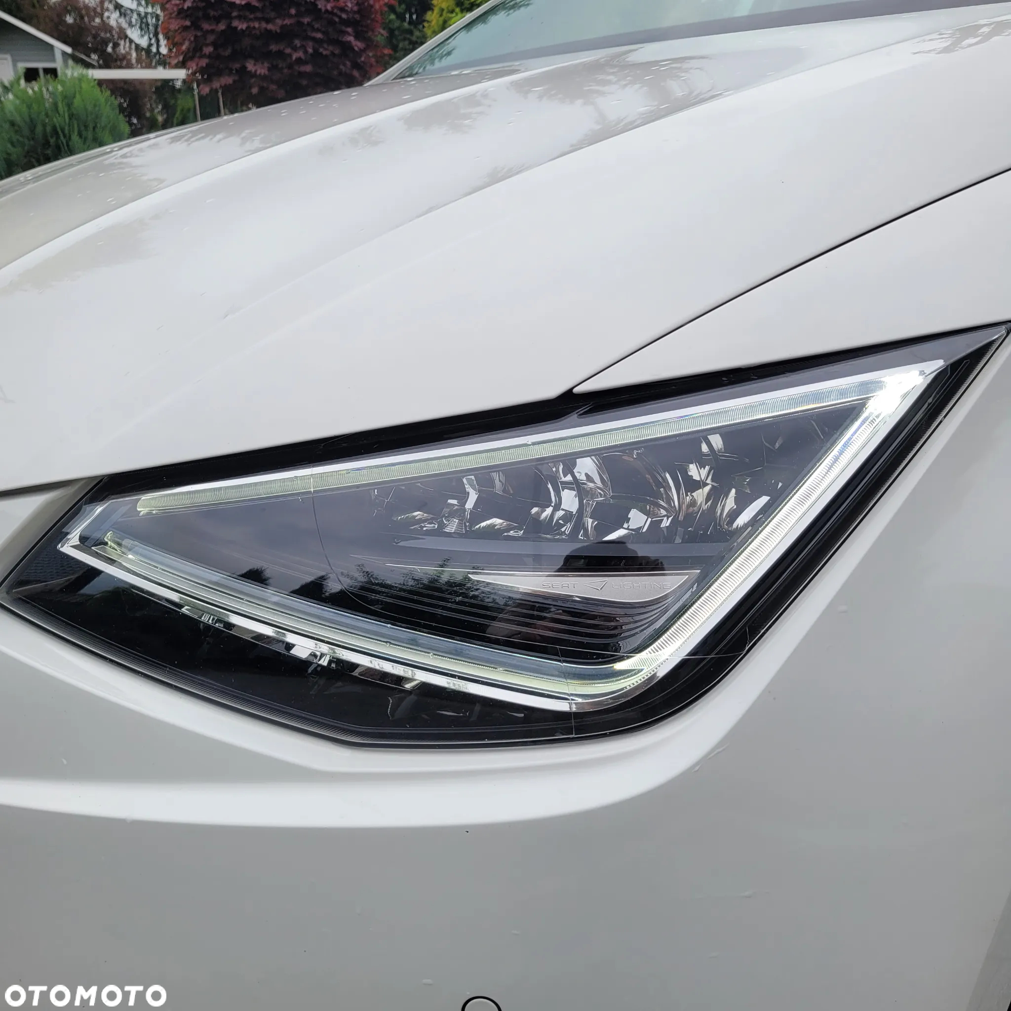 Seat Ibiza 1.5 TSI FR EVO S&S - 12