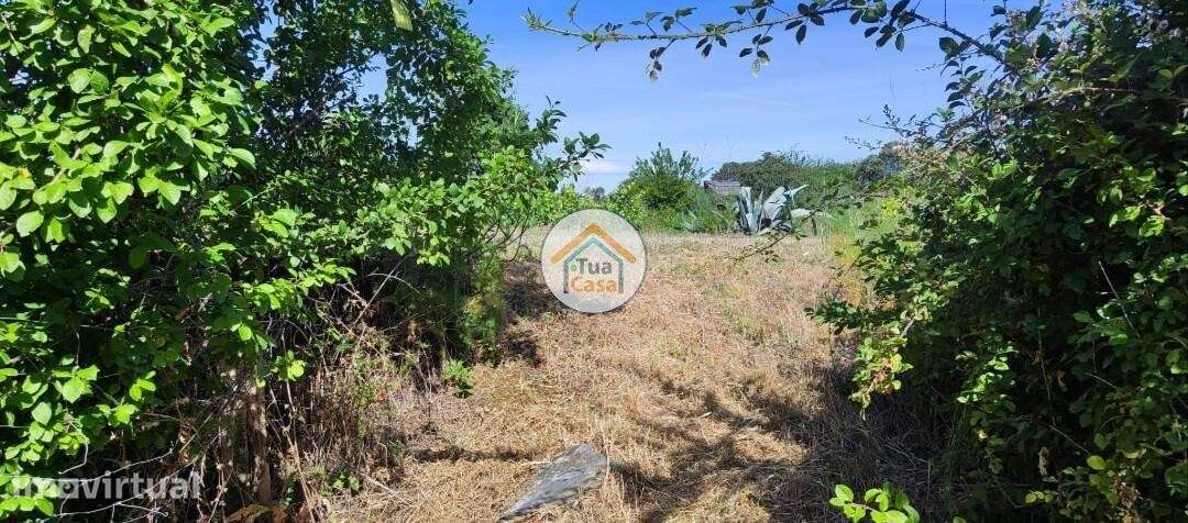 TERRENO MISTO COM ÁGUA NATURAL E APOIO AGRÍCOLA – TOULÕES - Grande imagem: 5/14