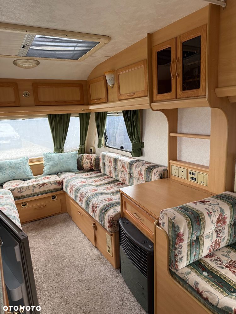Coachman Amara - 10