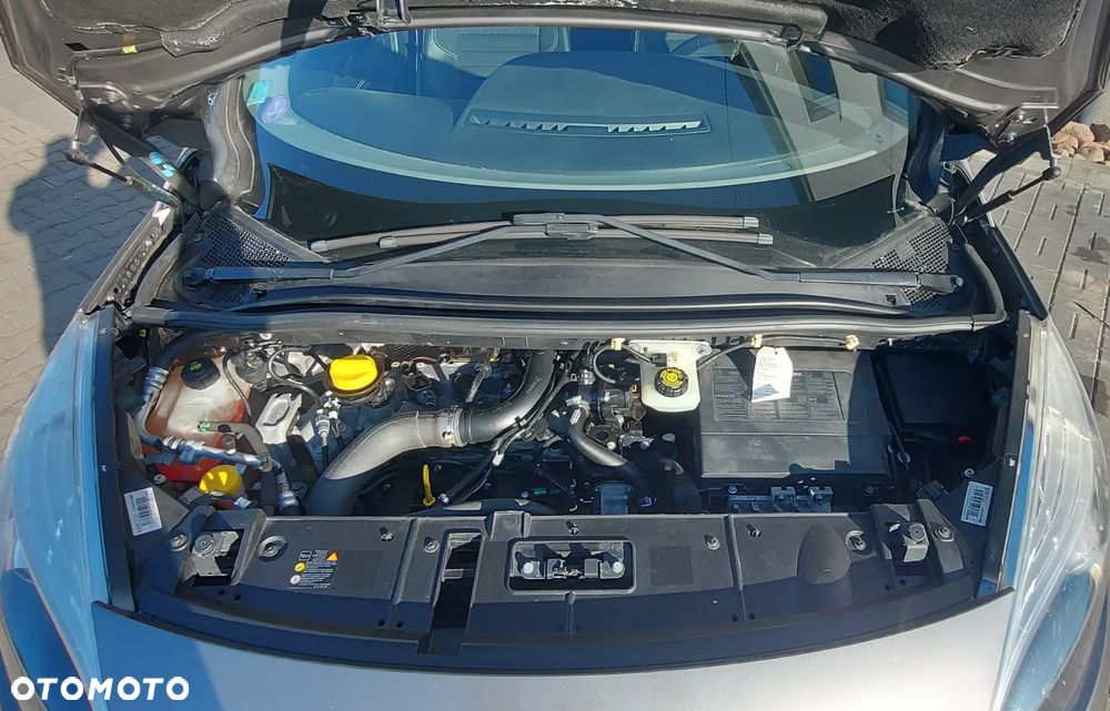 Renault Scenic - 20