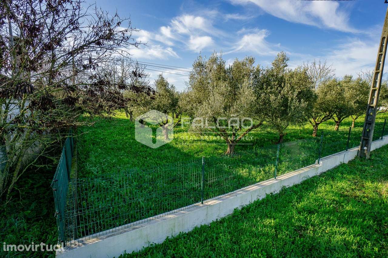 Moradia T5 Venda em Póvoa da Isenta,Santarém - Grande imagem: 4/60