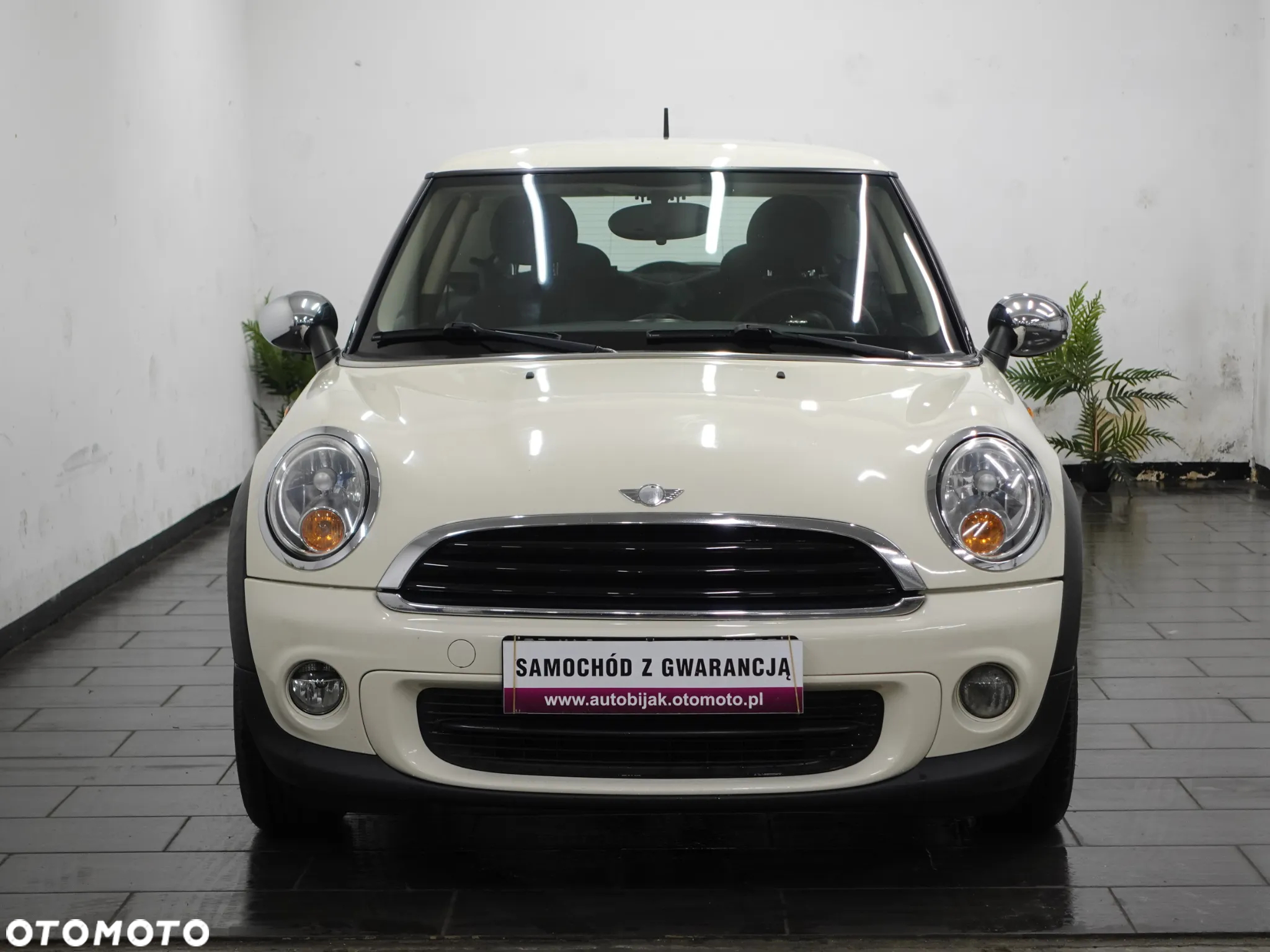 MINI ONE Standard - 12