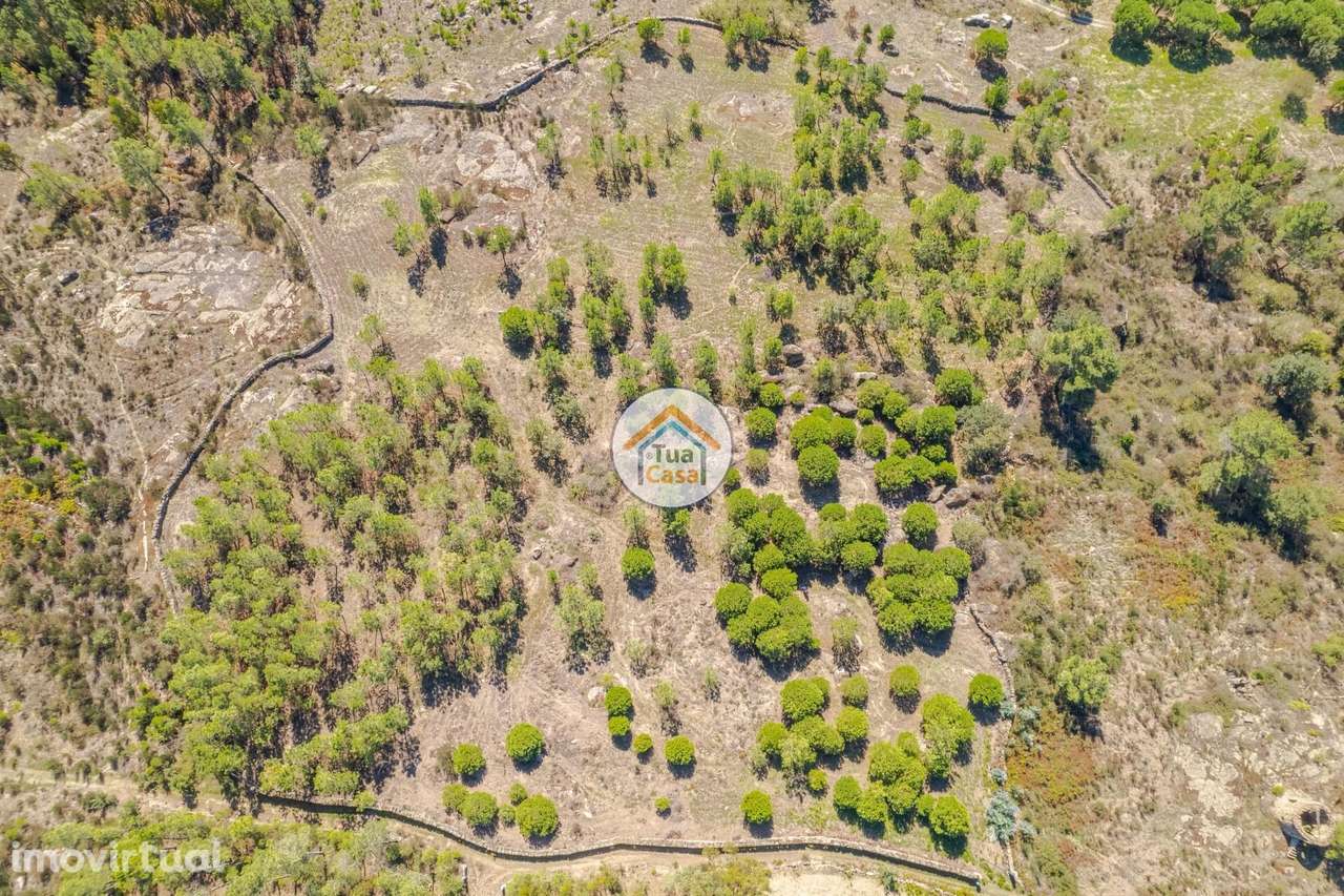 Terreno Rústico com viabilidade de construção em Mangualde - Grande imagem: 3/37