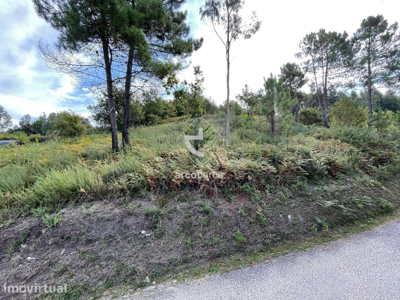 Terreno Florestal para venda em Ázere Arcos de Valdevez - Grande imagem: 5/5