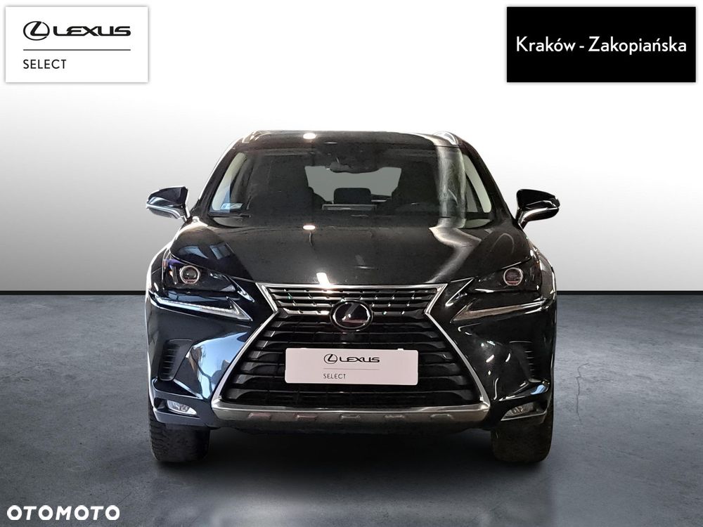 Lexus NX - 8