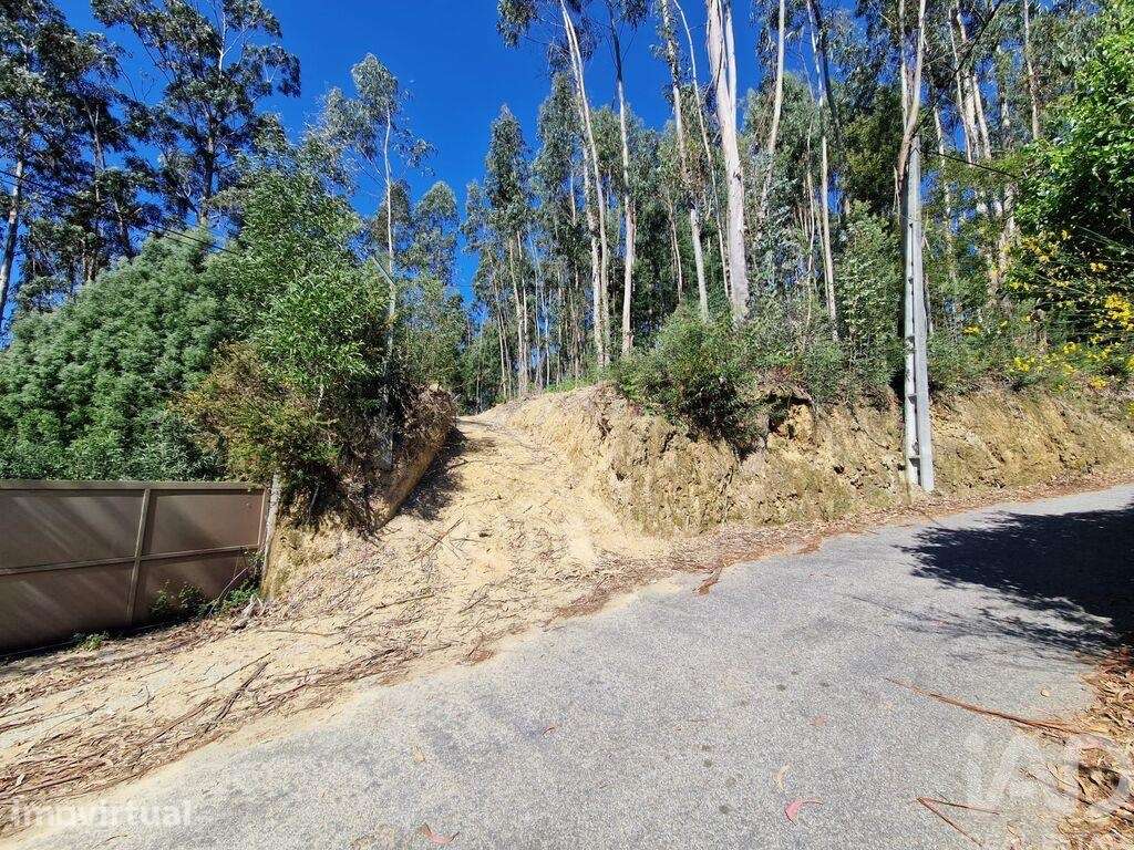 Terreno para construção em Nogueira, Meixedo e Vilar de Murteda de 291 - Grande imagem: 4/26
