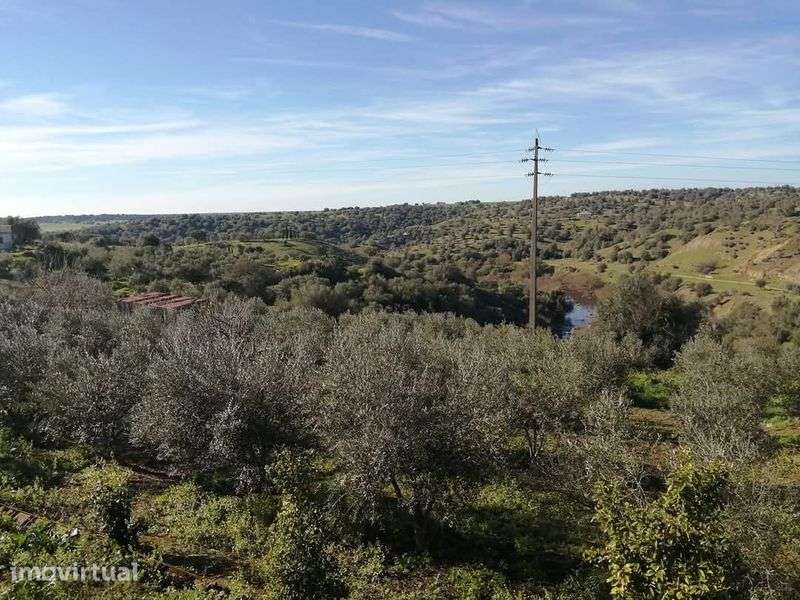 Terreno com 5..5 hectares - Grande imagem: 2/9