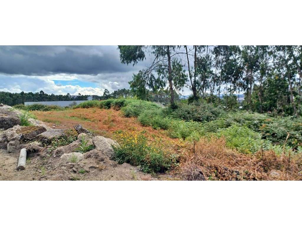 Terreno com 5.286 m² em Meixomil - Habitação ou Industria - Grande imagem: 4/8
