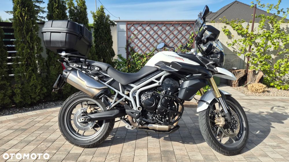 Triumph Tiger - 13