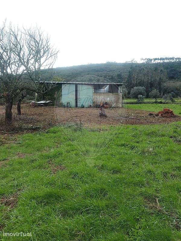 Armazém  para venda - Grande imagem: 4/11