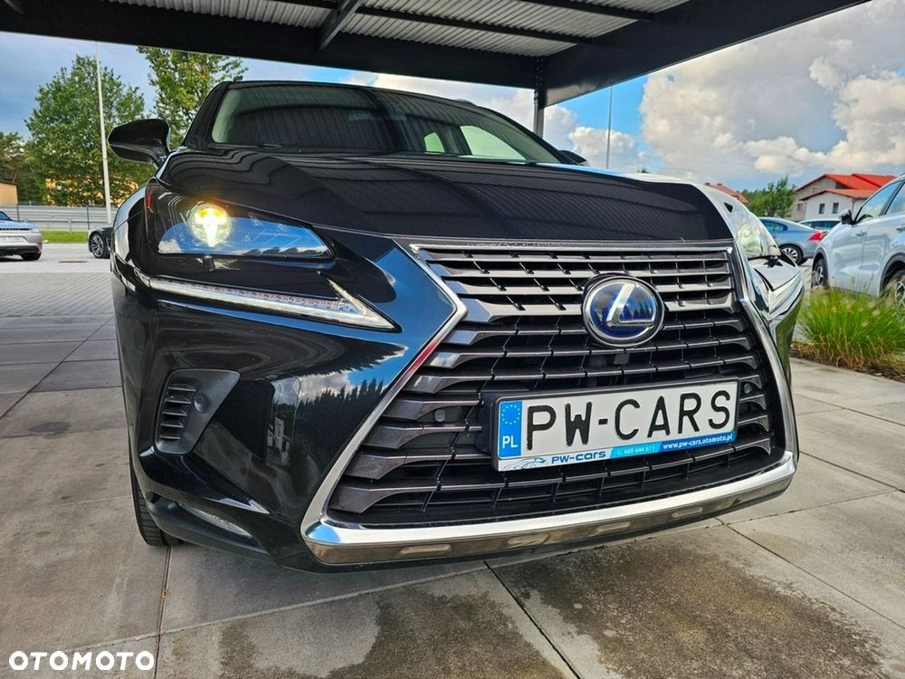 Lexus NX - 6