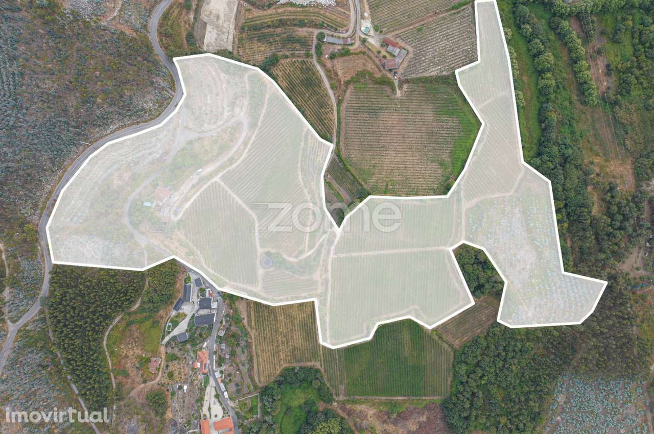 Quinta de Gonça - Grande imagem: 2/24