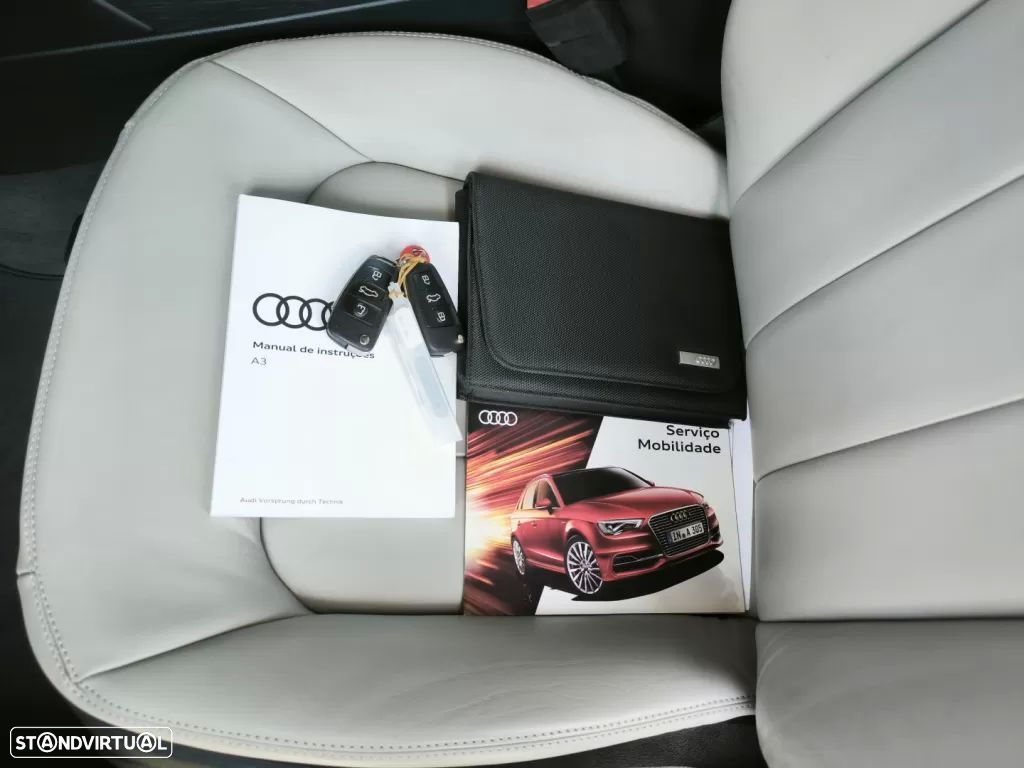 Audi A3 Cabrio 1.6 TDi - 42
