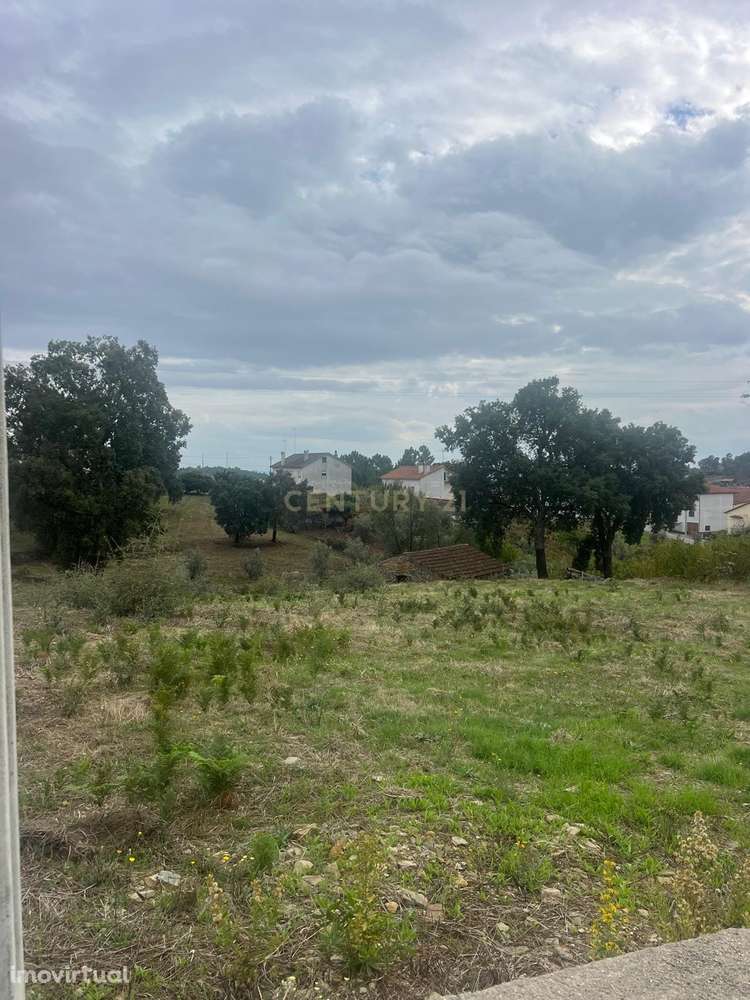 Terreno com vistas deslumbrantes em Proença-a-Nova - Grande imagem: 2/7