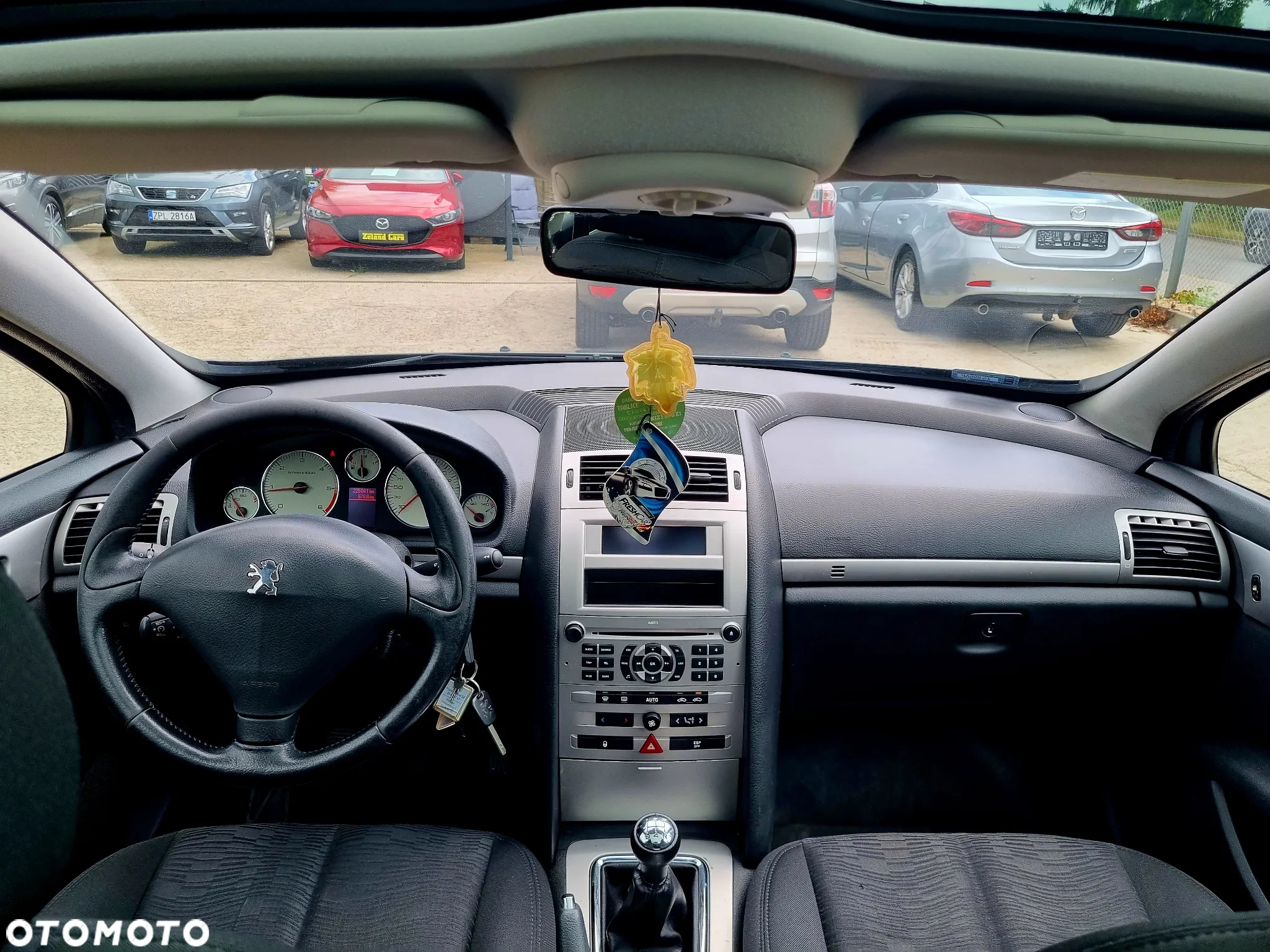 Peugeot 407 - 15
