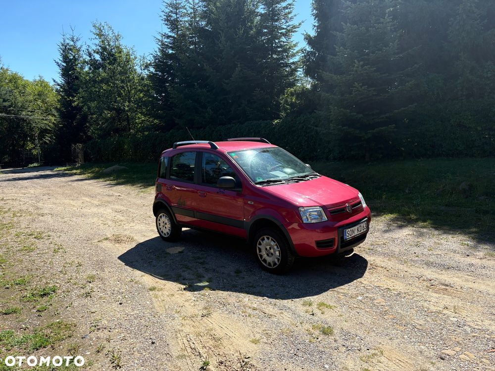 Fiat Panda 1.2 4x4 Classic - 3