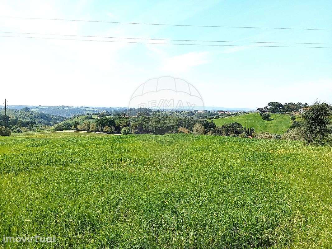 Terreno  para venda - Grande imagem: 3/19