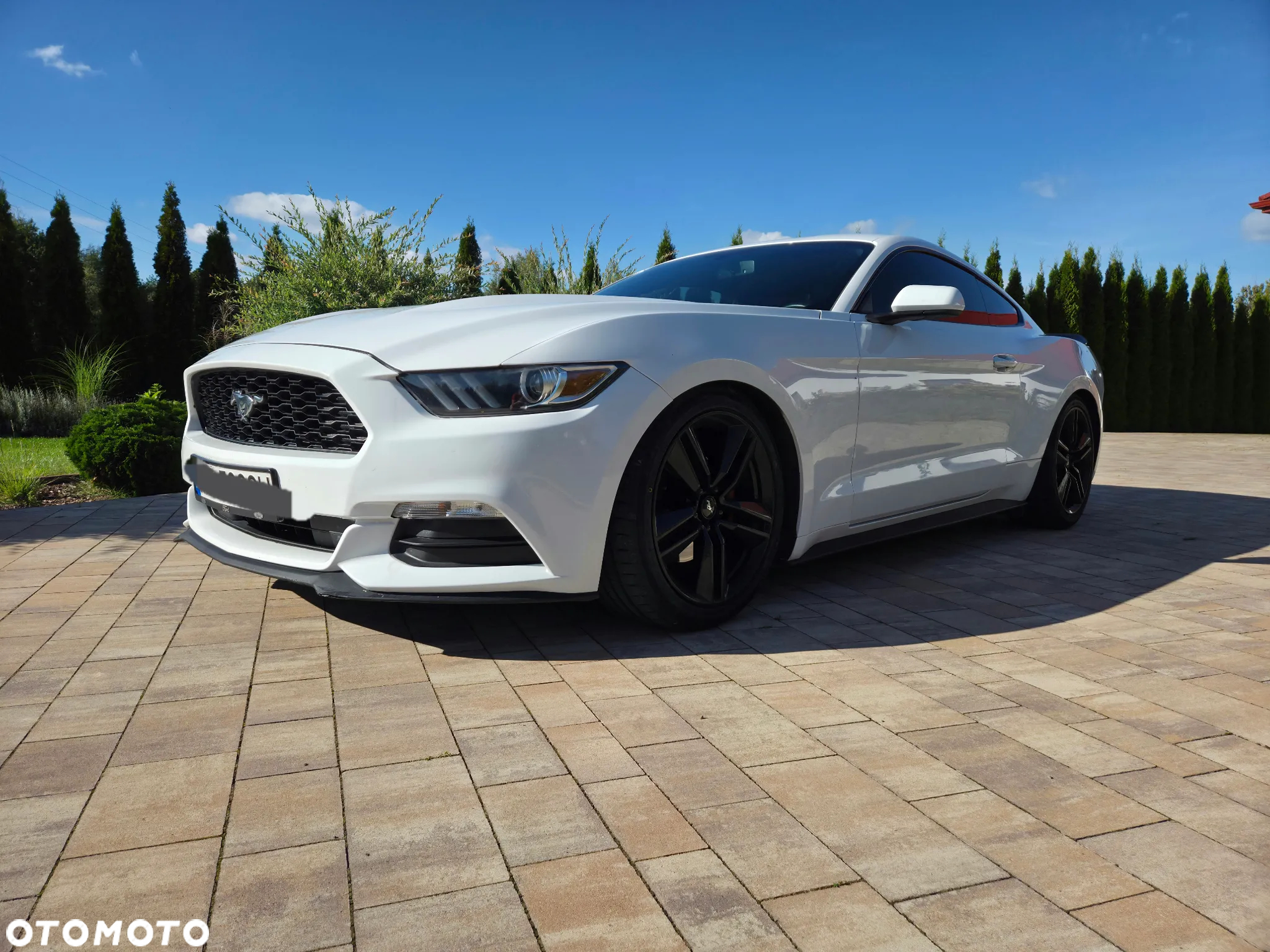 Ford Mustang 3.7 V6 - 2
