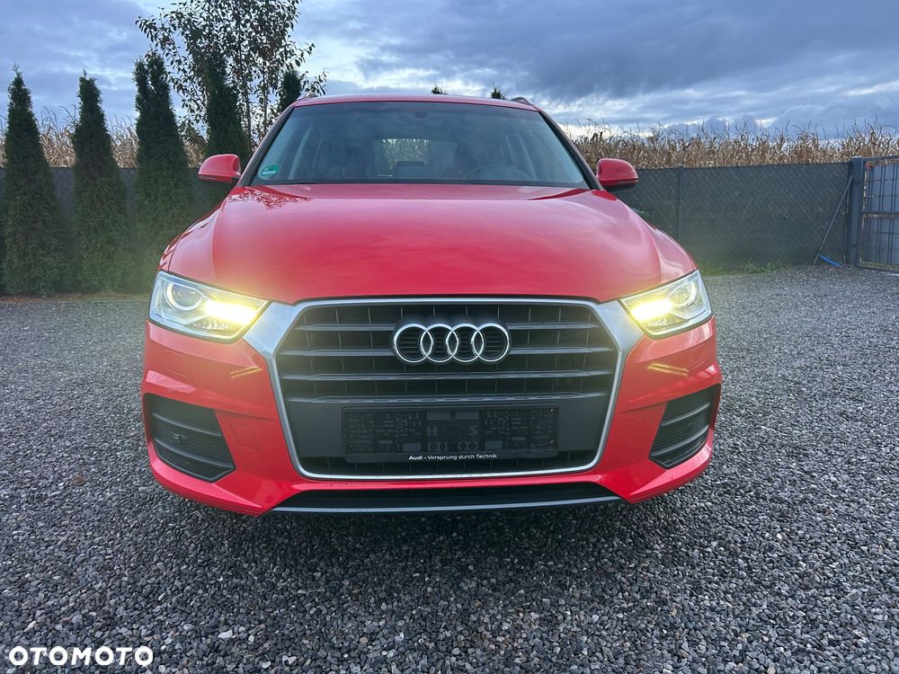 Audi Q3 2016 photo 2