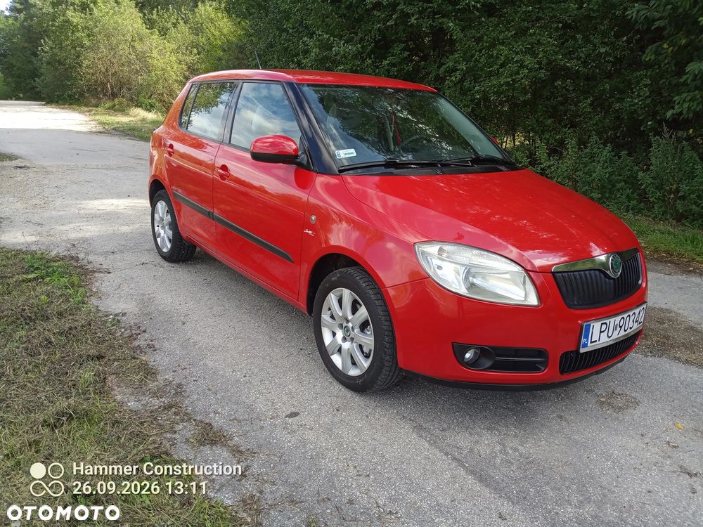 Skoda Fabia - 29