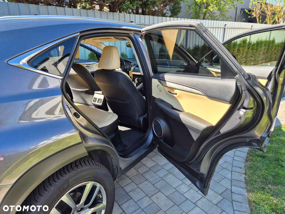 Lexus NX 300h Business Edition AWD - 19