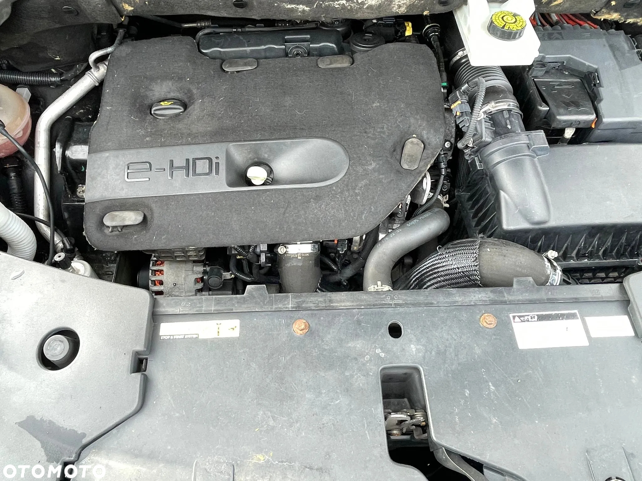 DS Automobiles DS 5 - 23
