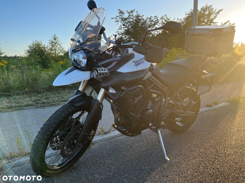 Triumph Tiger - 4