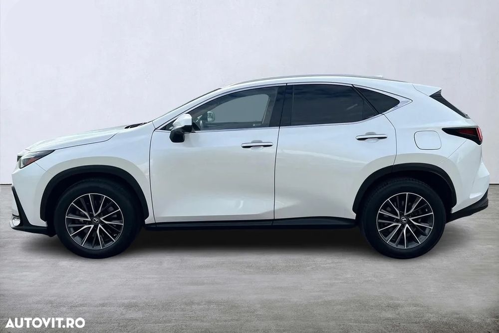 Lexus Seria NX 450h+ E-FOUR Executive Line - 10