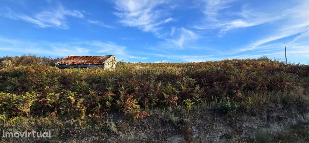 Terreno de produção agrícola em Gestaçô, Baião - Grande imagem: 2/6