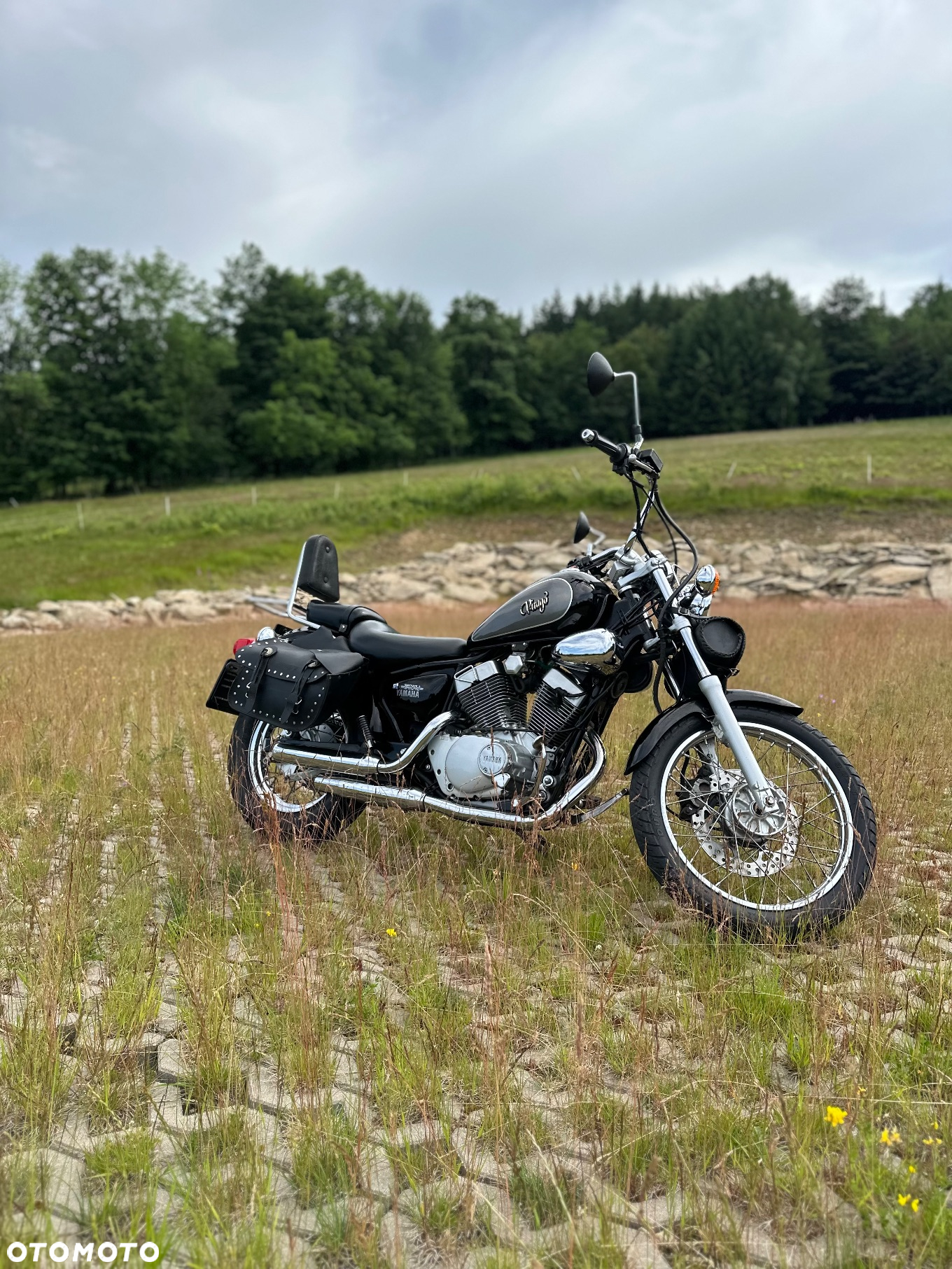 Yamaha Virago - 4