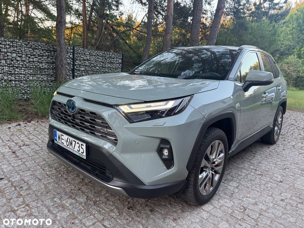 Toyota RAV4 2.5 Hybrid Executive 4x2 - 2
