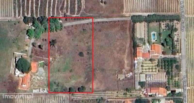 Terreno Rústico de 6000m2 Com Possibilidade de Construção. - Grande imagem: 4/5