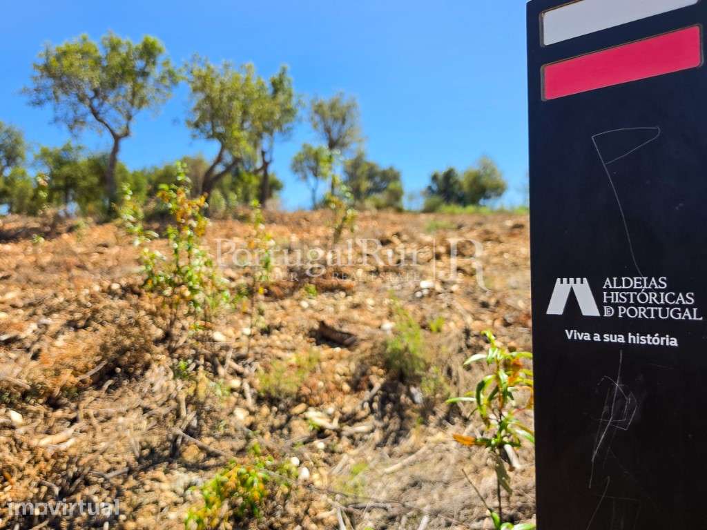 Terreno Rústico com 13,9 hectares em Penha Garcia - Grande imagem: 5/11