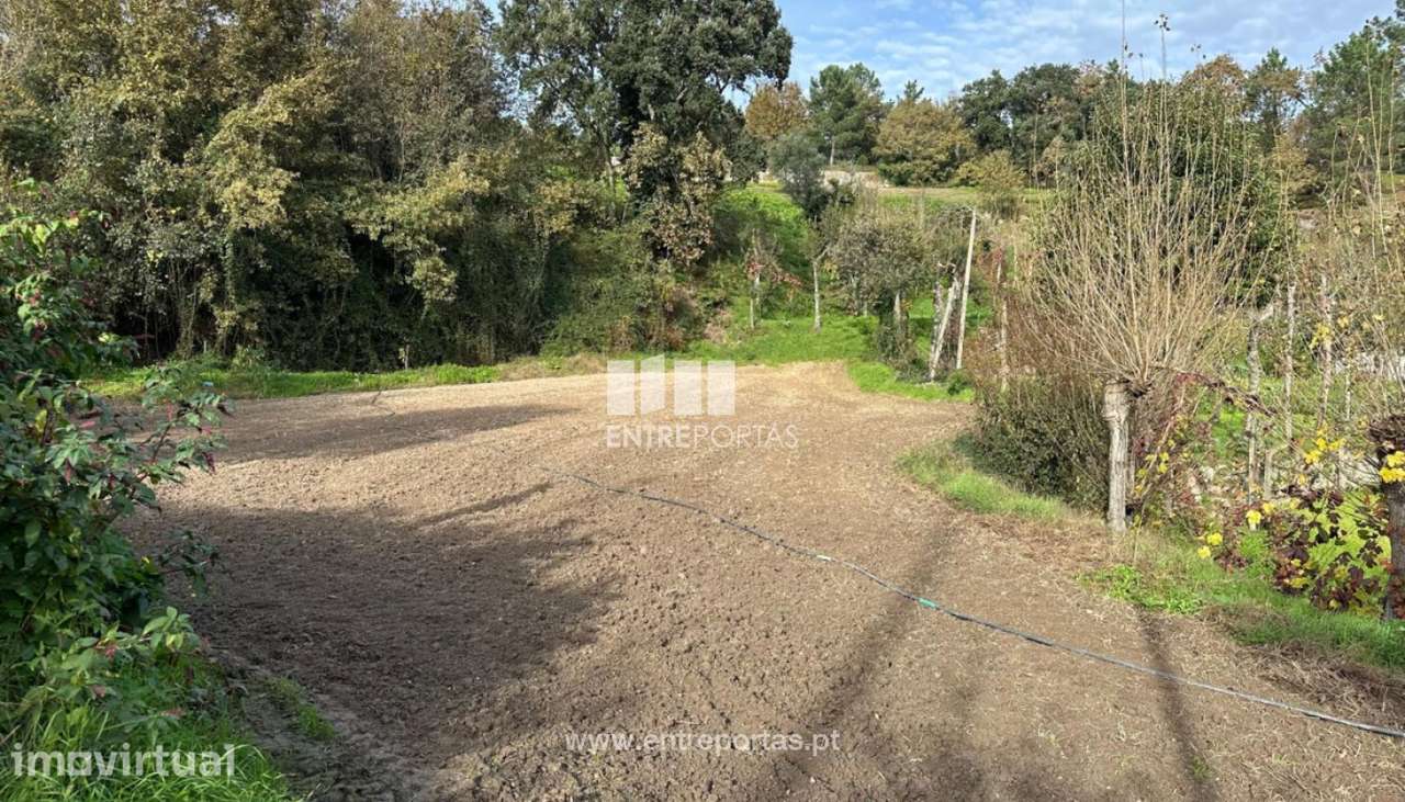 Venda Terreno Varzea de Ovelha, Marco - Grande imagem: 2/29