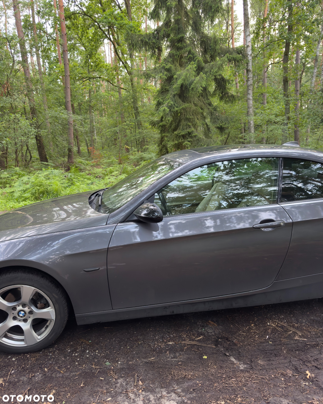 BMW Seria 3 - 5