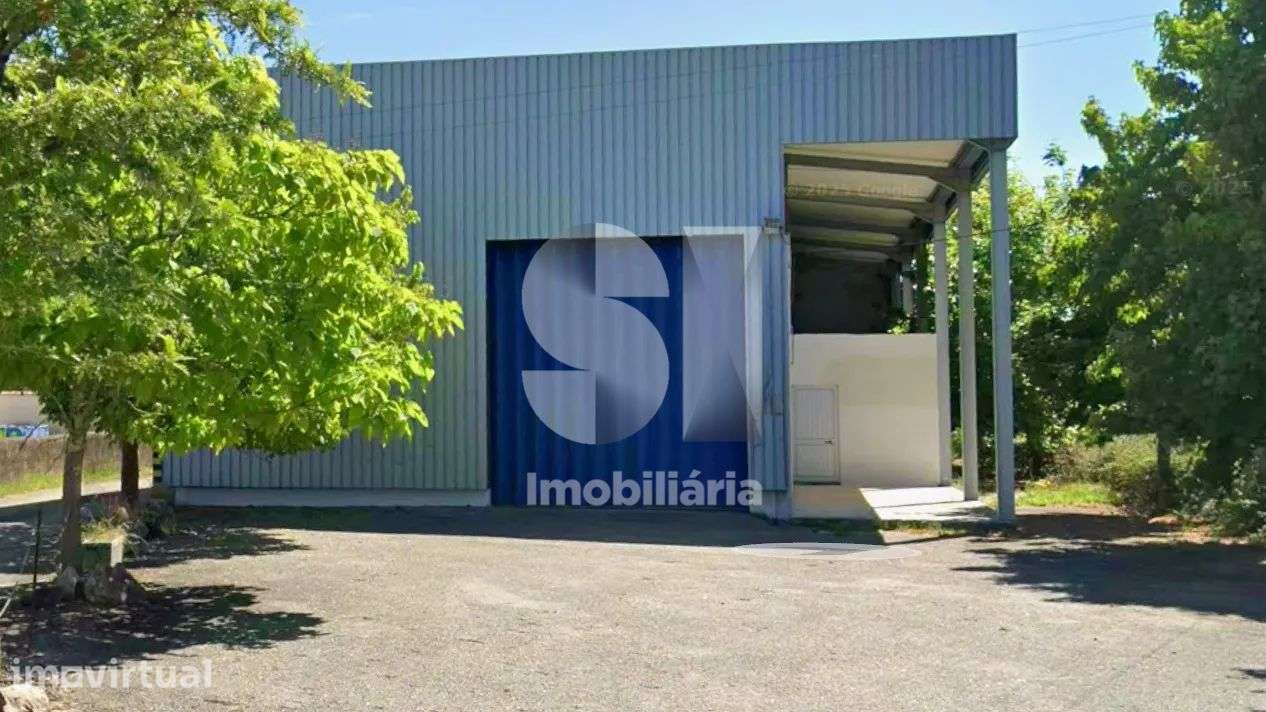 GRANDE ARMAZÉM - Grande imagem: 3/6
