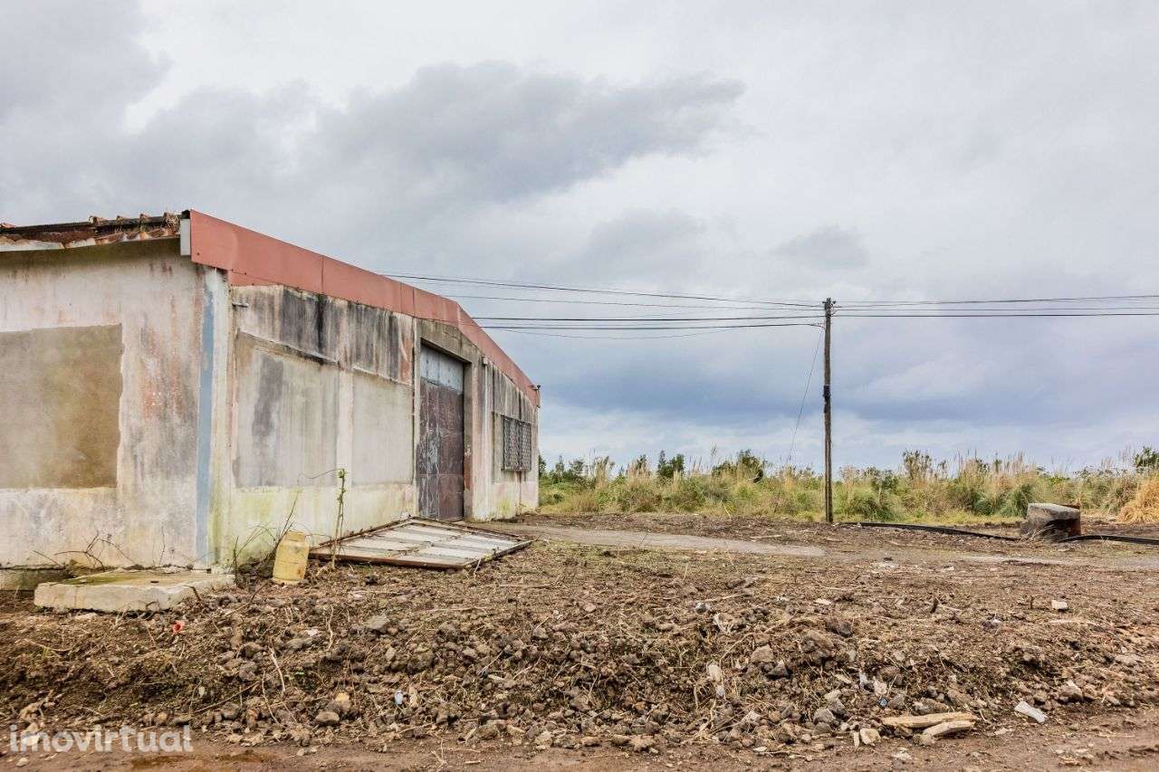 Lote Industrial - Grande imagem: 5/5