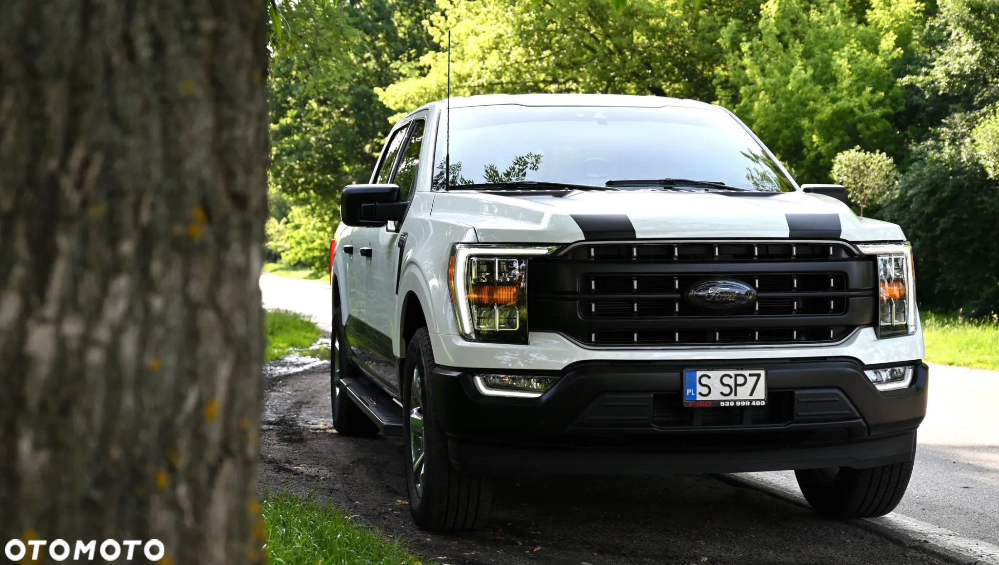 Ford F150 - 1