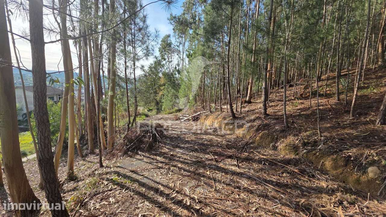 Oportunidade - Terreno Urbano com 842 m² – Santa Eufémia, Leiria - Grande imagem: 5/22