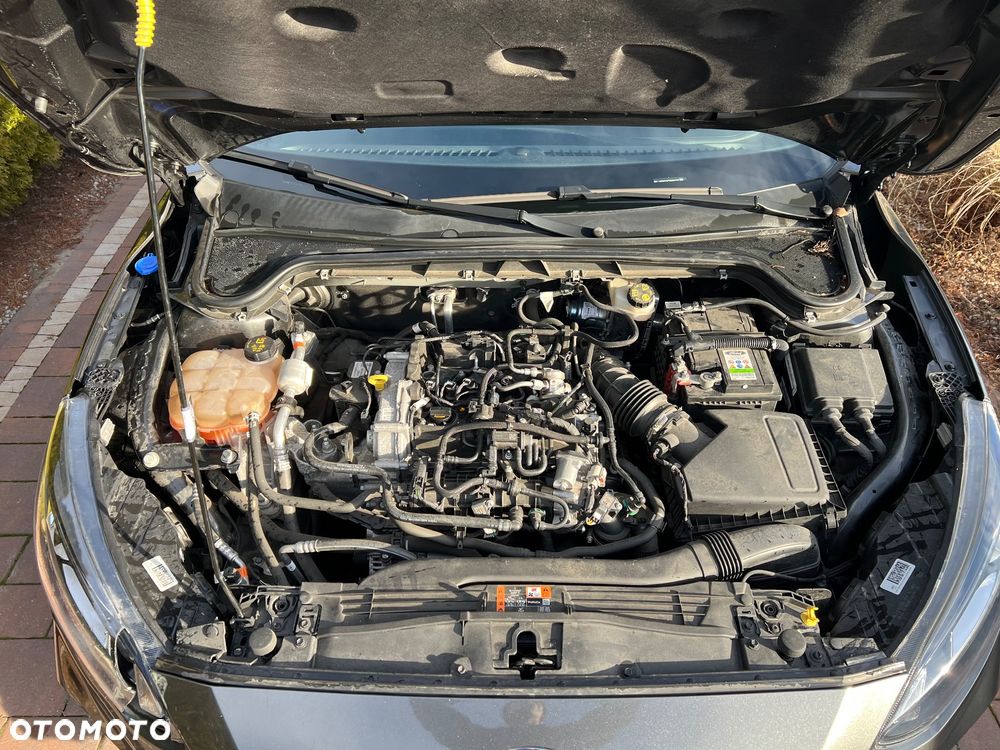 Ford Focus 1.0 EcoBoost mHEV ST-Line - 27