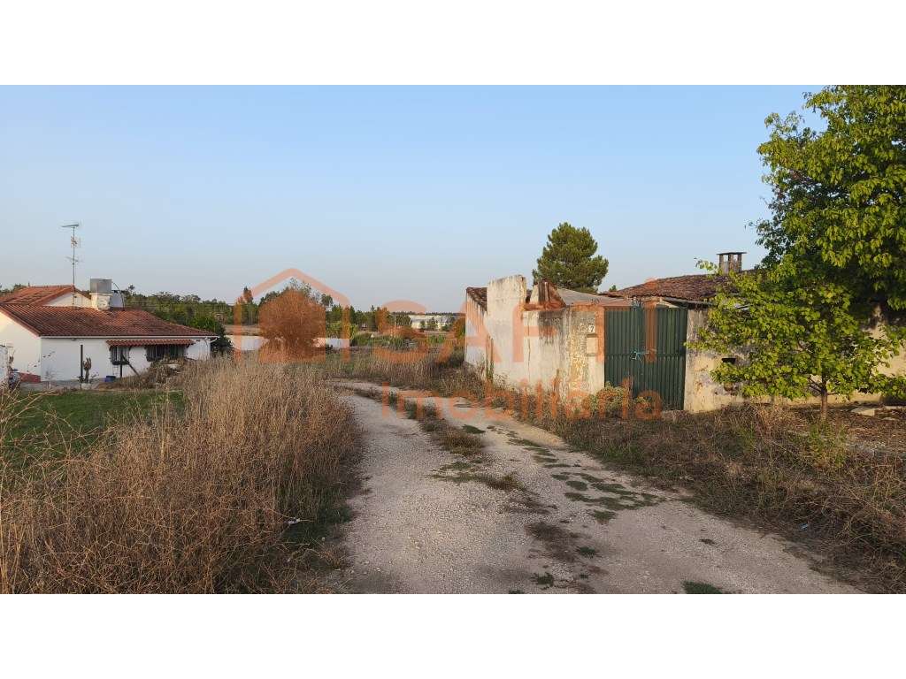 Terreno Urbano com 2056 m2 | Possibilidade de Divisão | Excelente L... - Grande imagem: 3/5