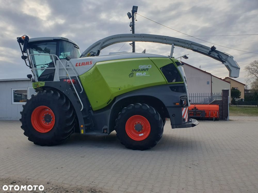 Claas Jaguar 950 - 1