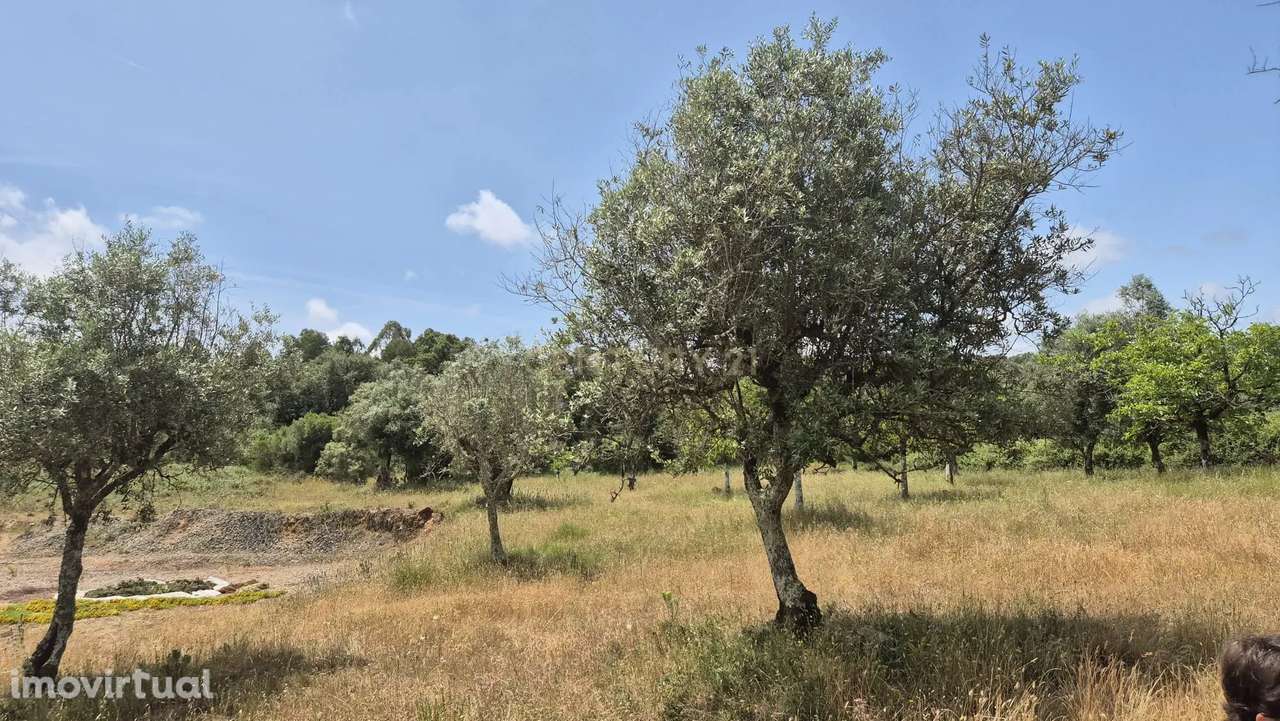Terreno com 3.610 m² – Potencial e Natureza na Serra de Sicó - Grande imagem: 2/10